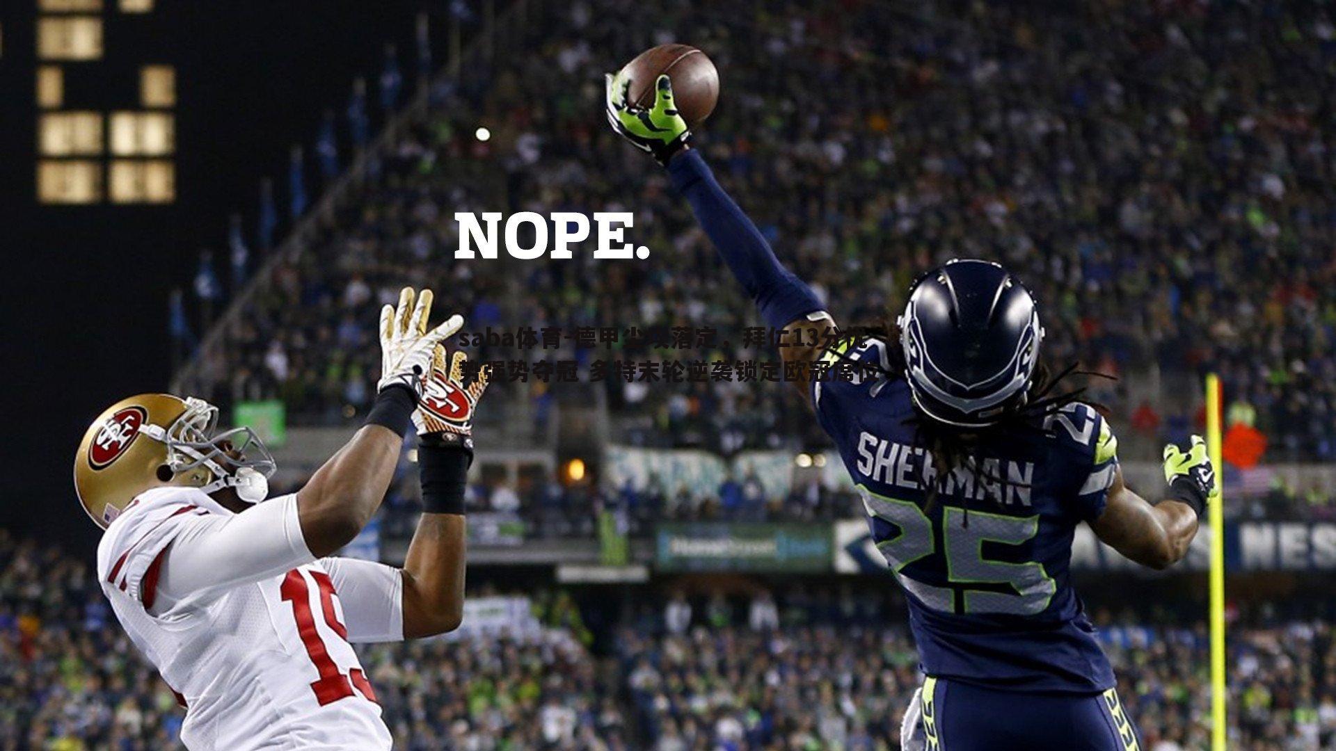 saba体育-德甲尘埃落定，拜仁13分优势强势夺冠 多特末轮逆袭锁定欧冠席位-第1张图片-saba体育