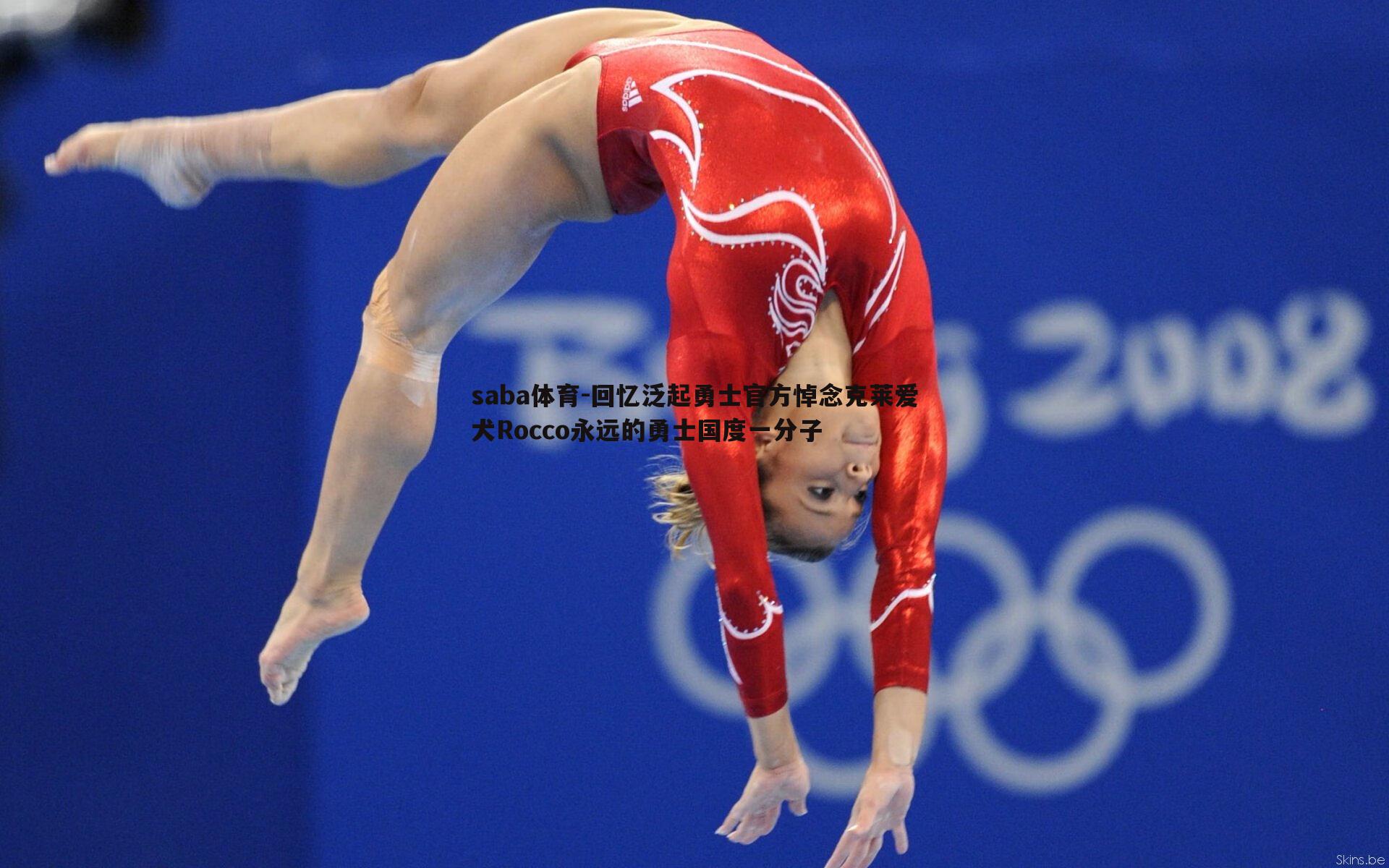 saba体育-回忆泛起勇士官方悼念克莱爱犬Rocco永远的勇士国度一分子-第1张图片-saba体育 saba体育-回忆泛起勇士官方悼念克莱爱犬Rocco永远的勇士国度一分子-第1张图片-saba体育