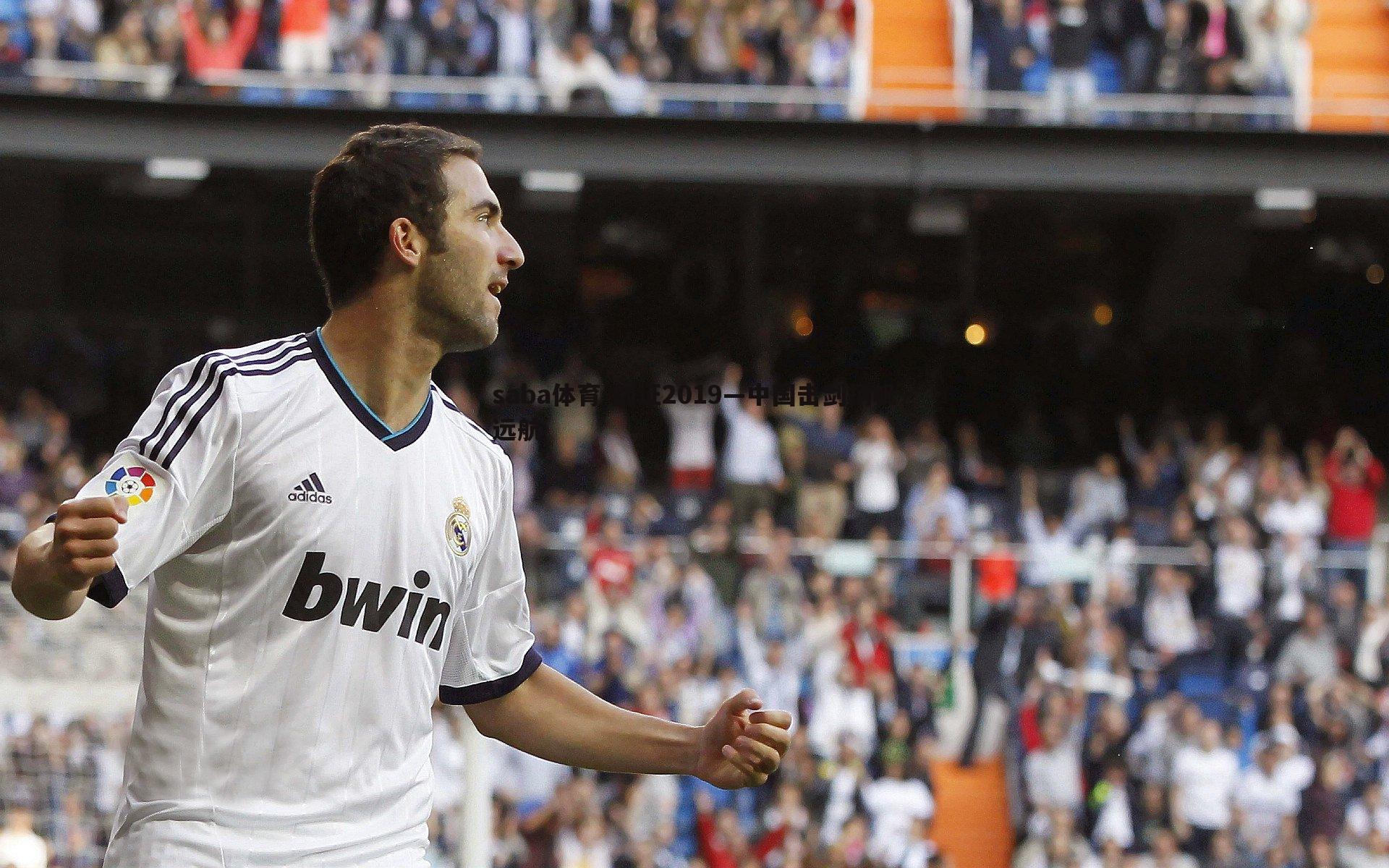 saba体育-剑证2019—中国击剑扬帆远航-第1张图片-saba体育 saba体育-剑证2019—中国击剑扬帆远航-第1张图片-saba体育